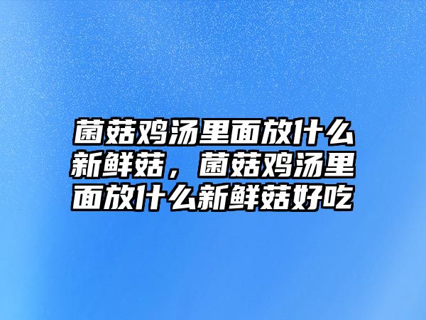 菌菇雞湯里面放什么新鮮菇，菌菇雞湯里面放什么新鮮菇好吃