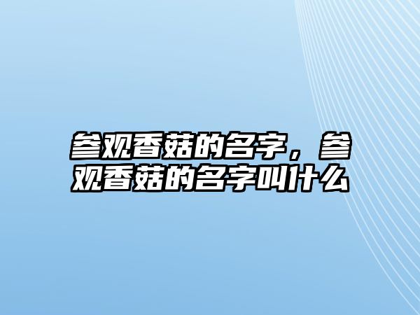 參觀香菇的名字，參觀香菇的名字叫什么