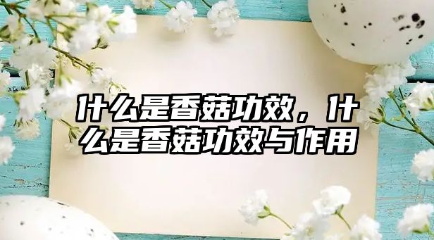 什么是香菇功效，什么是香菇功效與作用