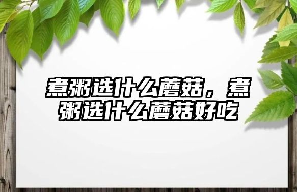 煮粥選什么蘑菇，煮粥選什么蘑菇好吃