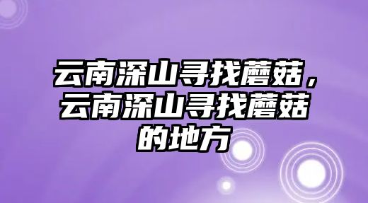 云南深山尋找蘑菇，云南深山尋找蘑菇的地方