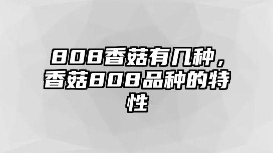 808香菇有幾種，香菇808品種的特性