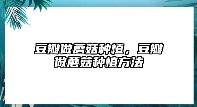 豆瓣做蘑菇種植，豆瓣做蘑菇種植方法