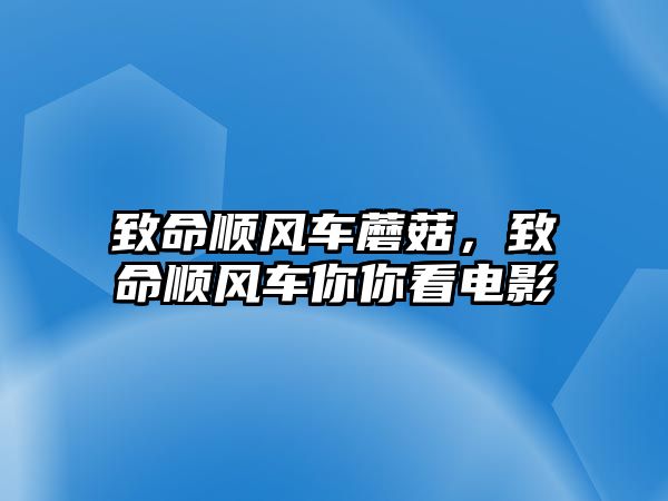 致命順風車蘑菇，致命順風車你你看電影