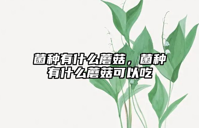 菌種有什么蘑菇，菌種有什么蘑菇可以吃