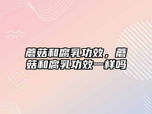 蘑菇和腐乳功效，蘑菇和腐乳功效一樣嗎