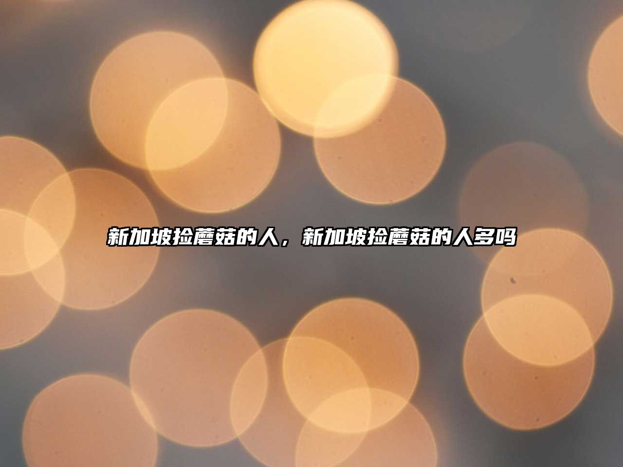 新加坡?lián)炷⒐降娜耍录悠聯(lián)炷⒐降娜硕鄦?/>
							</a> 
						</div>
						<header>
							<h2><a href=