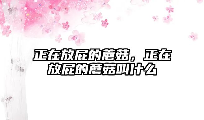 正在放屁的蘑菇，正在放屁的蘑菇叫什么